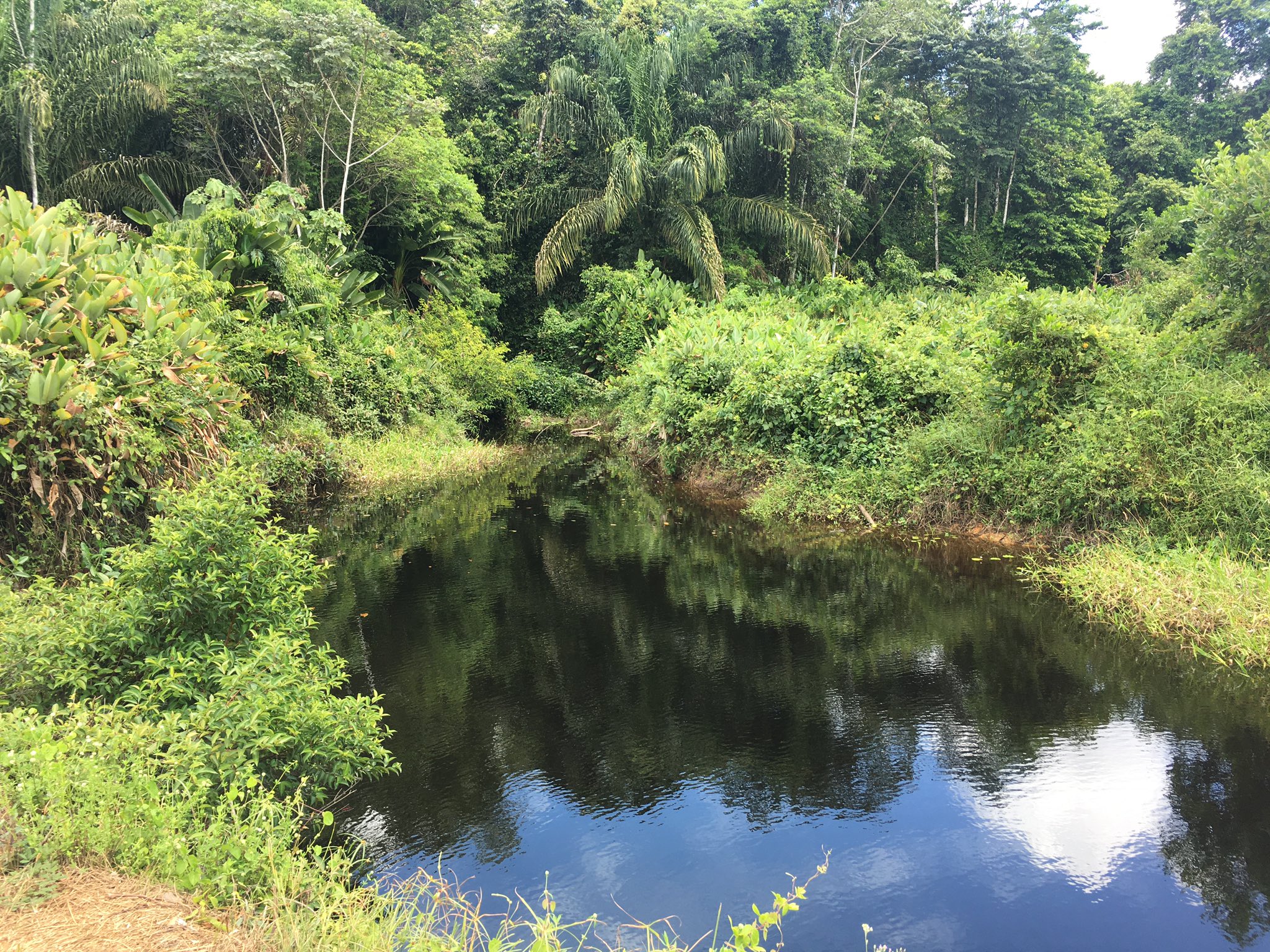 French Guiana